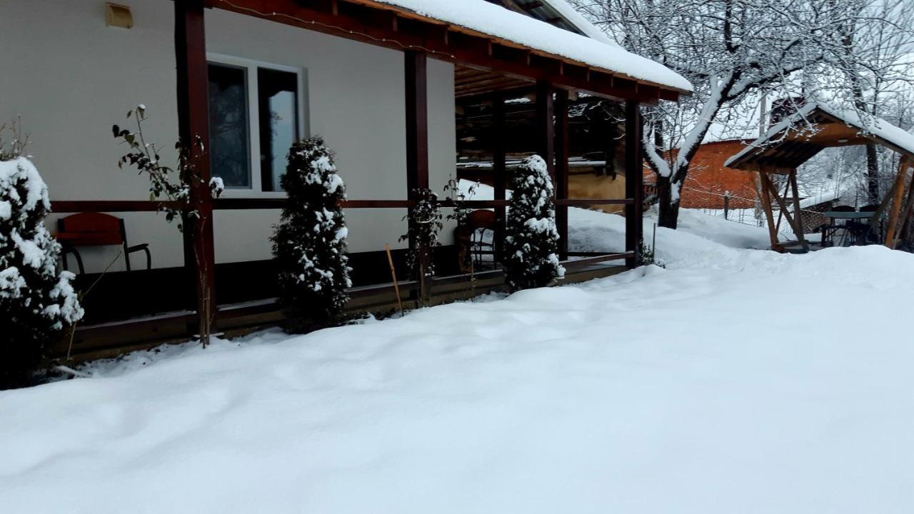 Dacha Podobovets 127 Hotel Eksteriør billede