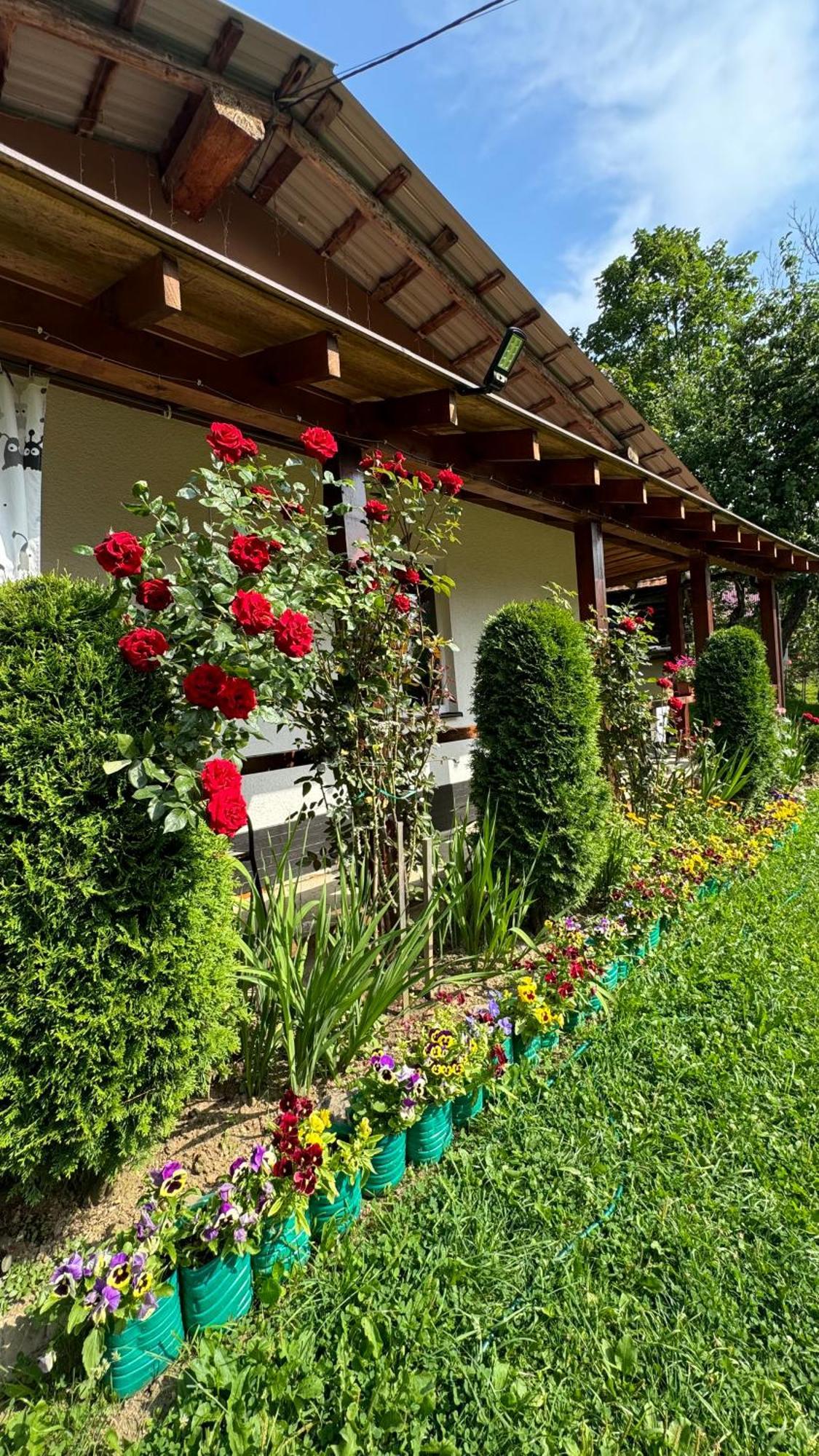 Dacha Podobovets 127 Hotel Eksteriør billede