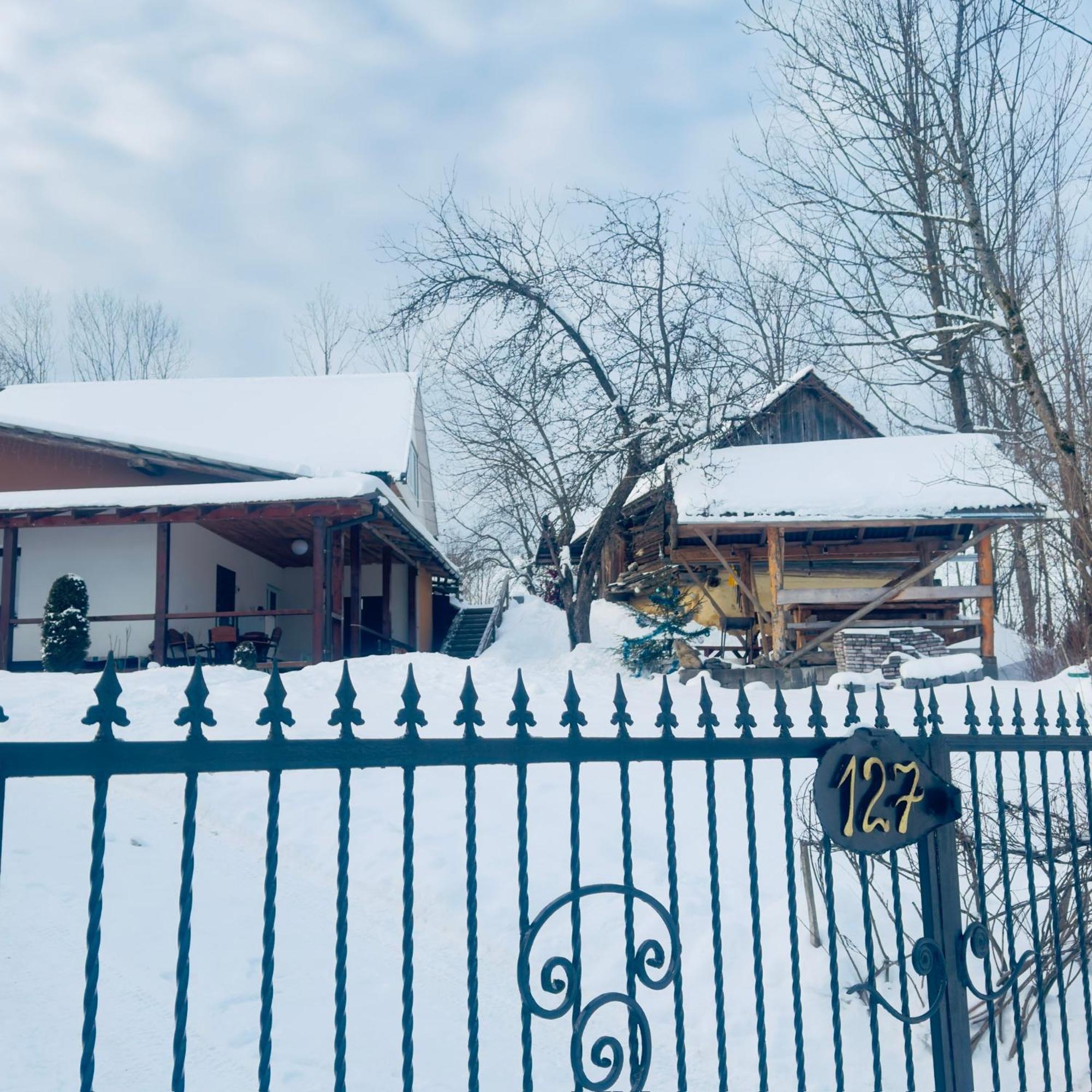 Dacha Podobovets 127 Hotel Eksteriør billede
